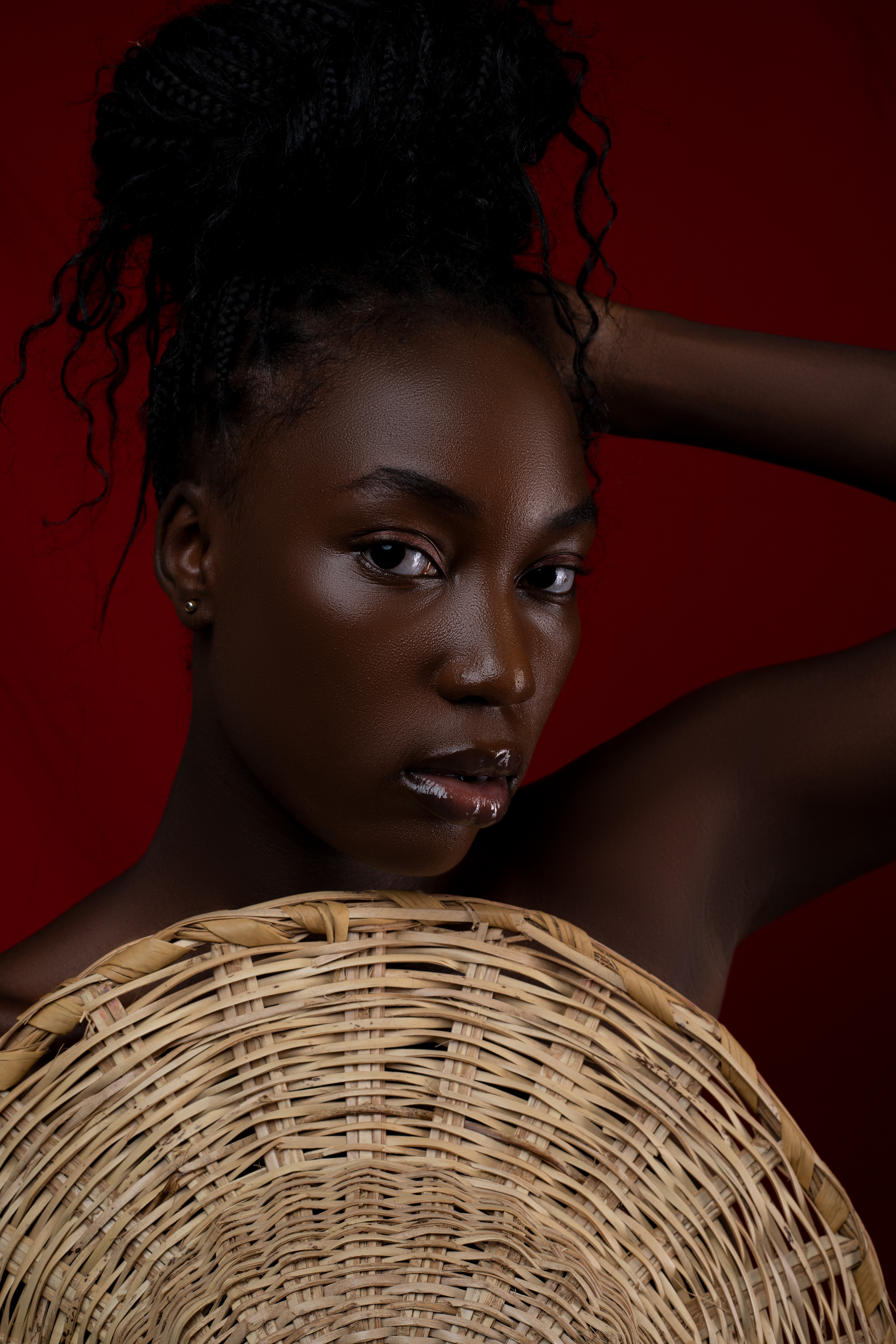 Fashion art of basketry